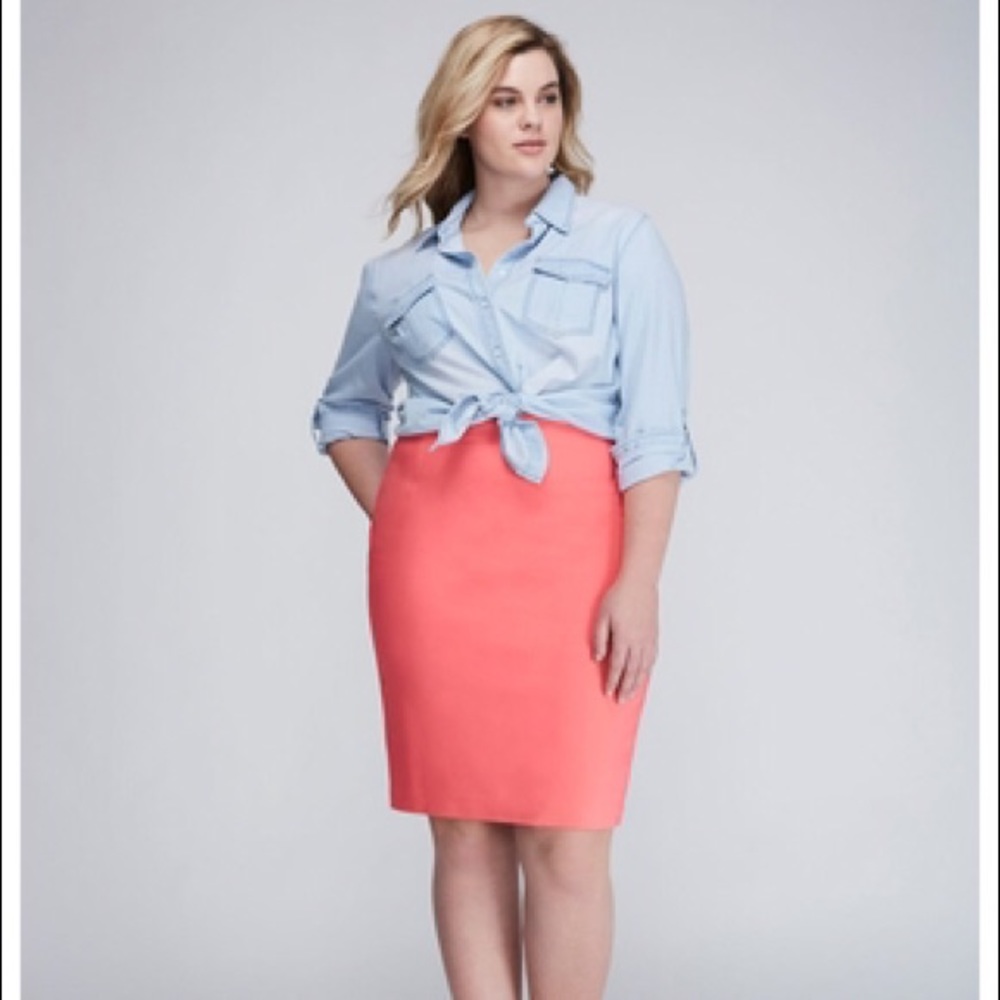 ✨NWOT! Fits Sz20/22 The Modernist Pencil Skirt 🌟